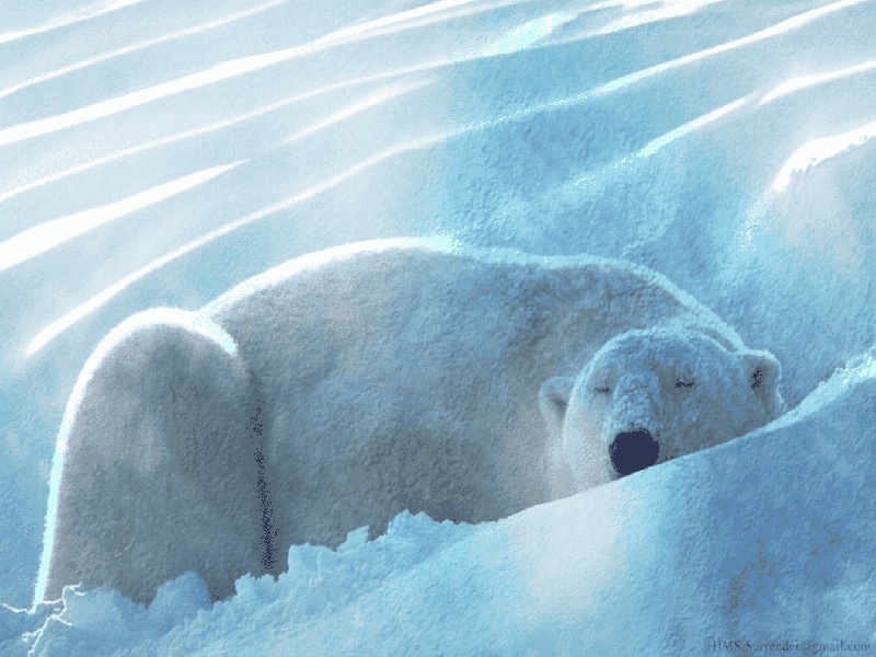 试管最好胚胎数值,借精做试管